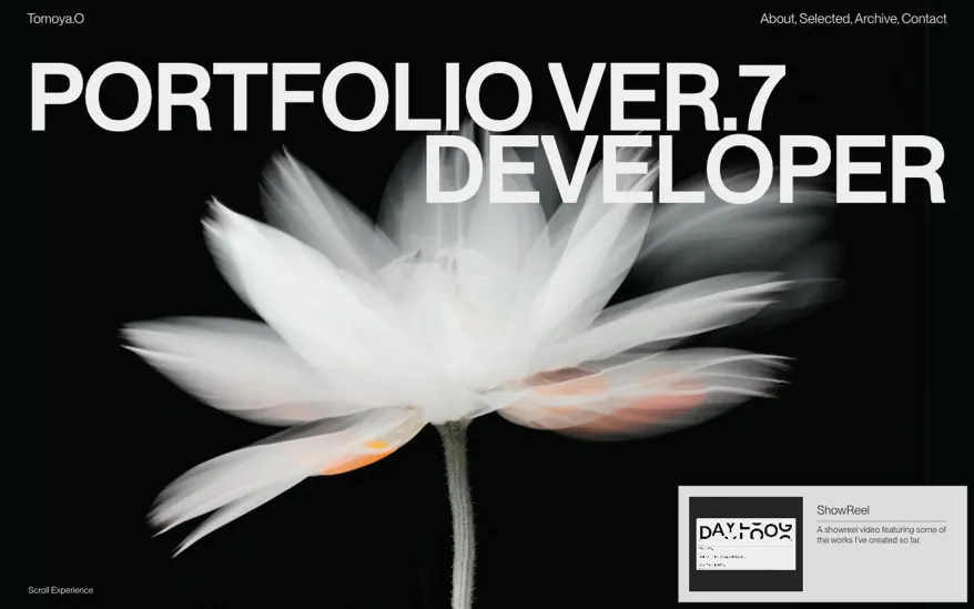 Portfolio v7